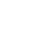 لوگوی ایواسک